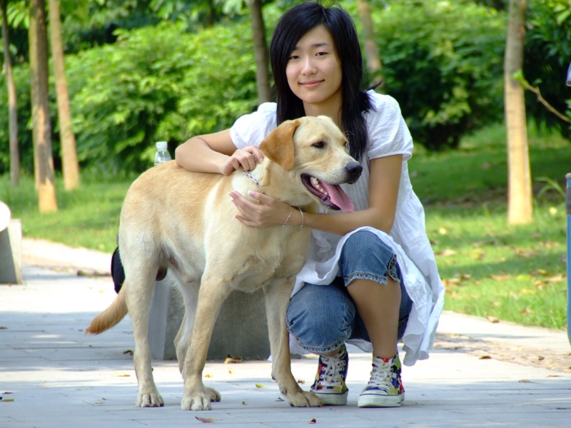 风中的绿叶的第一张照片--长沙相亲服务中心