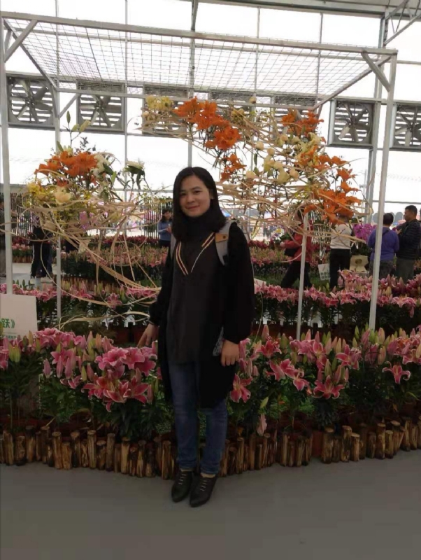 紫苏的第一张照片--长沙相亲服务中心