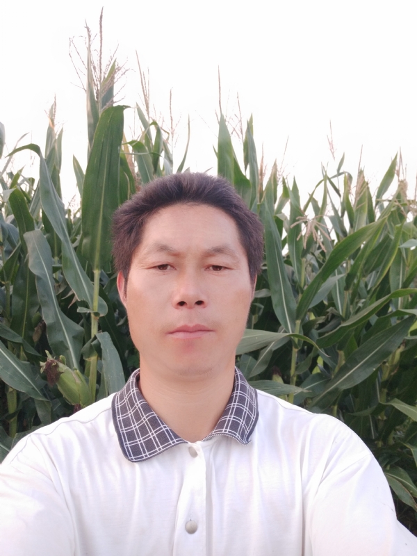 四海游龙的第二张照片--长沙相亲服务中心