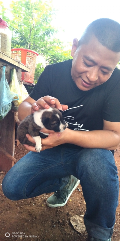 深圳相亲的第一张照片--长沙相亲服务中心