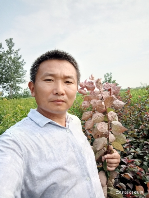 孩子爸的第一张照片--长沙相亲服务中心