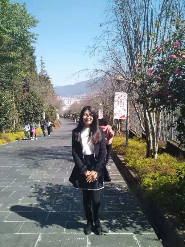 窗台上的桔梗的第一张照片--长沙相亲服务中心