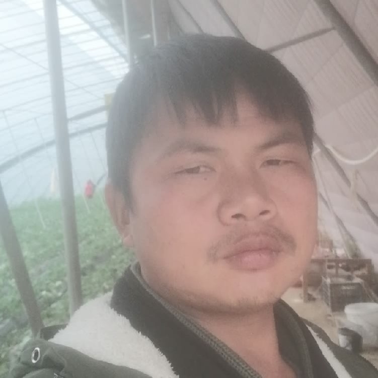 孤狼‘的第一张照片--长沙相亲服务中心