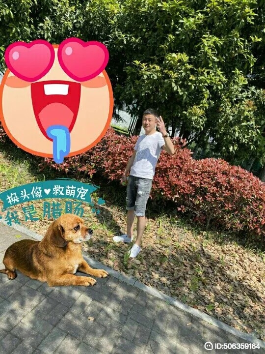 我若不坚强谁替我勇敢的第一张照片--长沙相亲服务中心