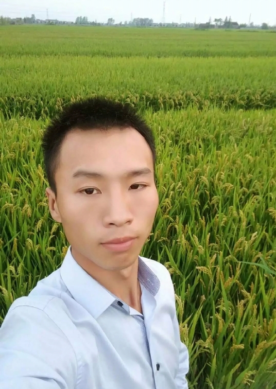 等待远方的你的第二张照片--长沙相亲服务中心