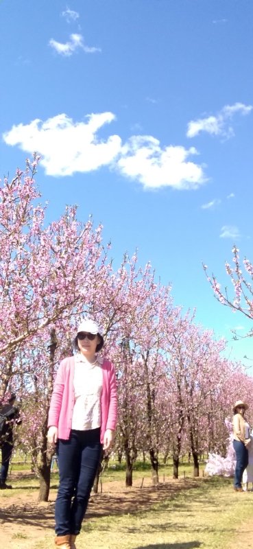 Grace的第二张照片--长沙相亲服务中心