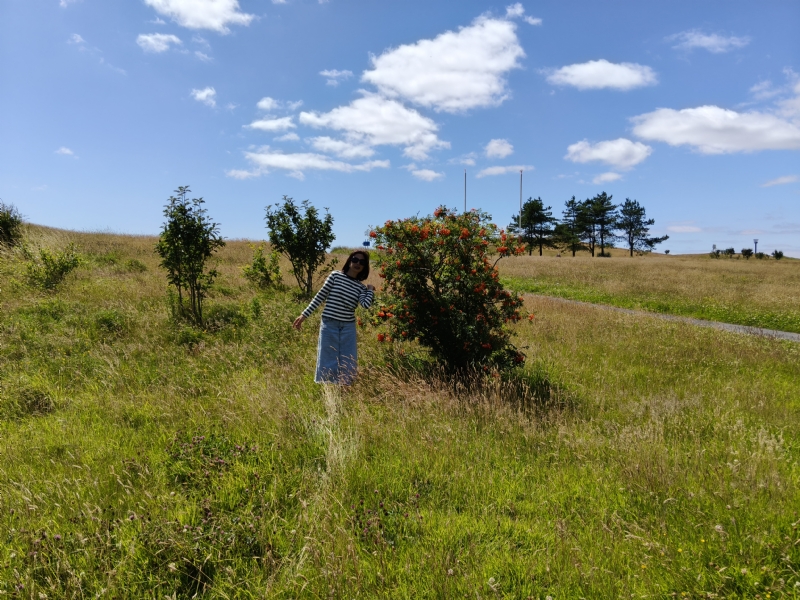 秋蝉的第一张照片--长沙相亲服务中心
