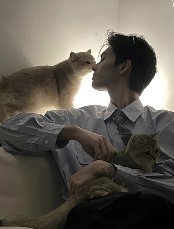 怪猫的第一张照片--长沙相亲服务中心