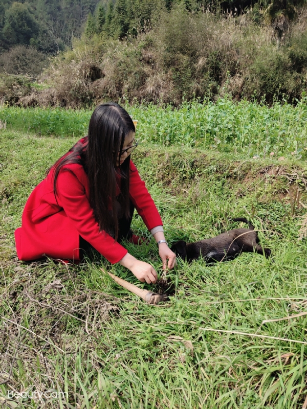 下一个春和秋的第一张照片--长沙相亲服务中心