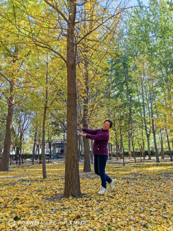 Shirley的第一张照片--长沙相亲服务中心