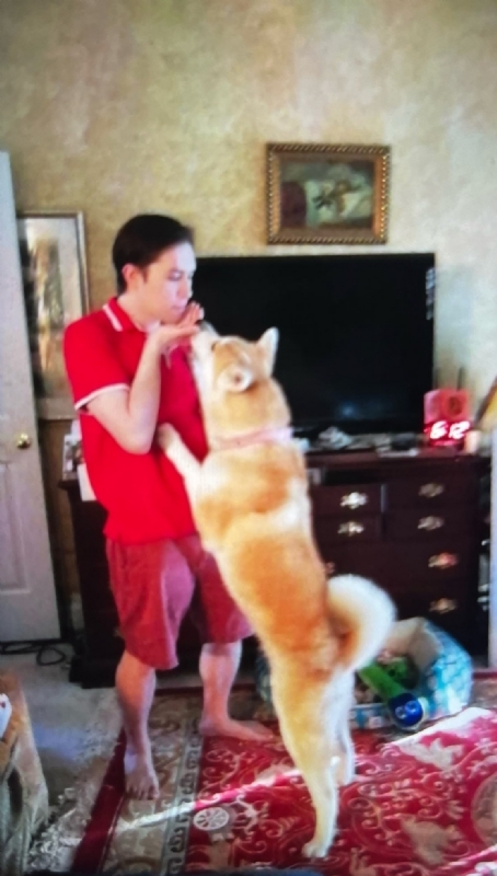 Leluch的第一张照片--长沙相亲服务中心