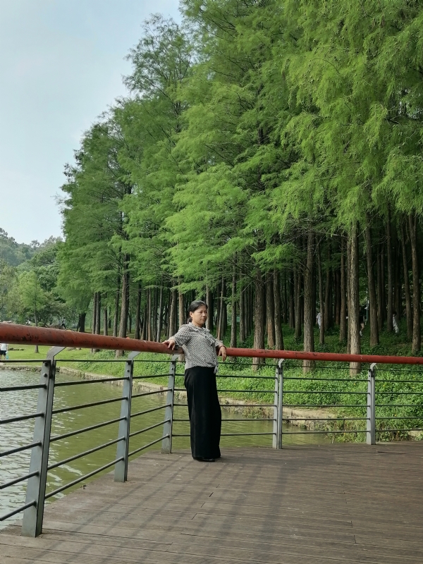 遗失的记忆的第二张照片--长沙相亲服务中心