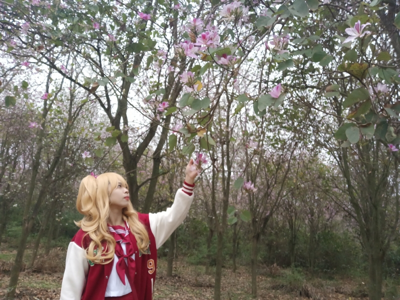 暮秋的第一张照片--长沙相亲服务中心