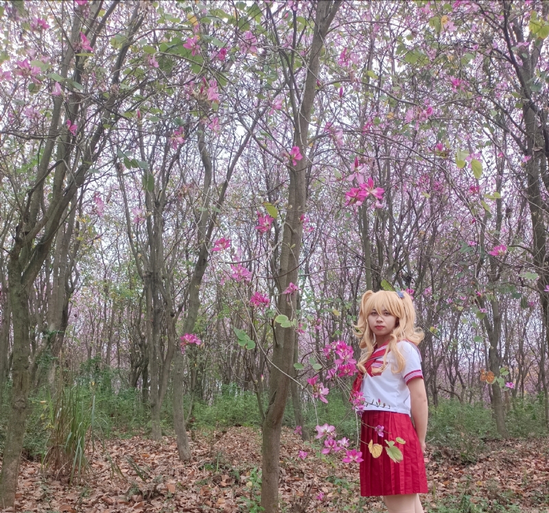 暮秋的第三张照片--长沙相亲服务中心