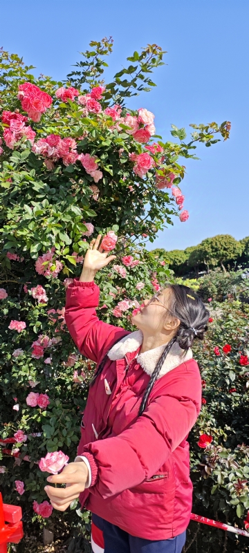 狗狗的第一张照片--长沙相亲服务中心